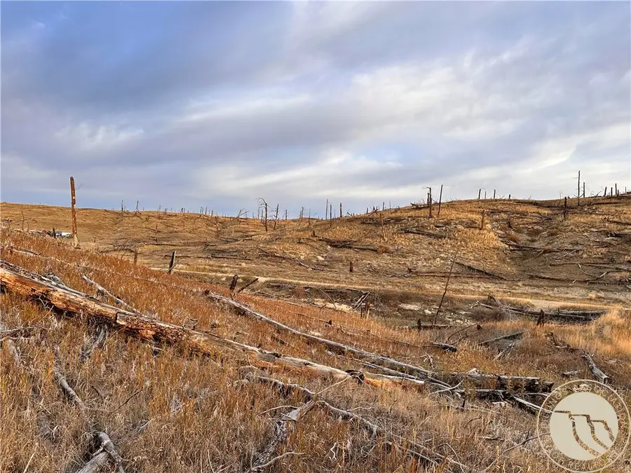 TBD Buckskin Road, Roundup, MT 59072 - #3