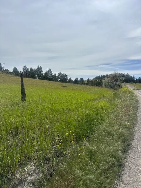 147 Haystack Coulee Road, Columbus, MT 59019 - #2