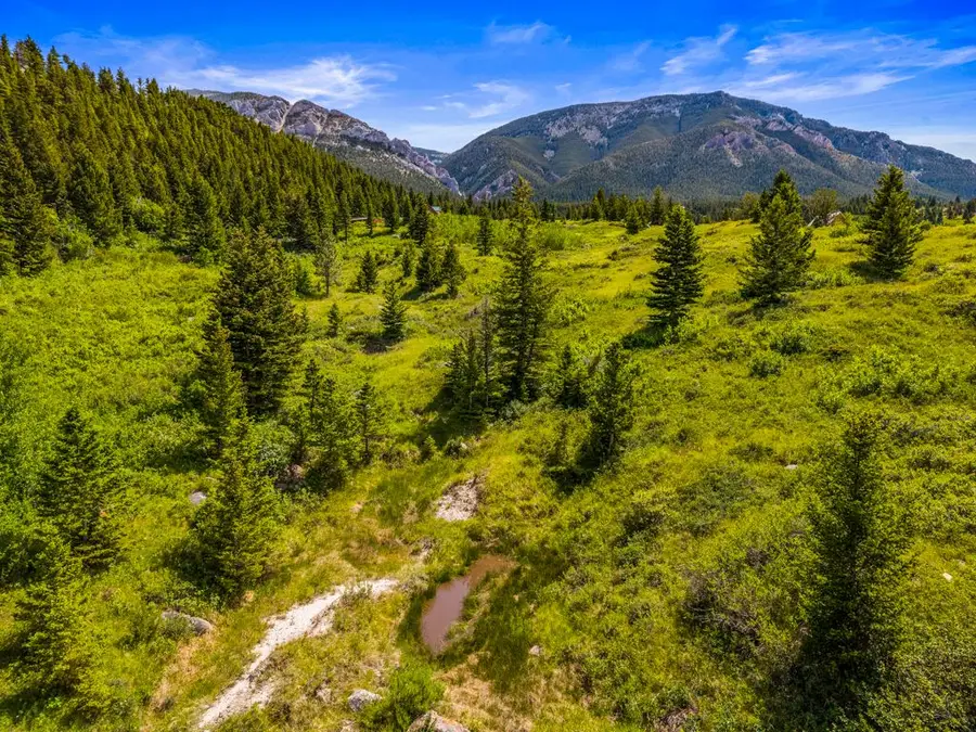 Lot 34 Cheyenne Trail, Nye, MT 59061 - #2