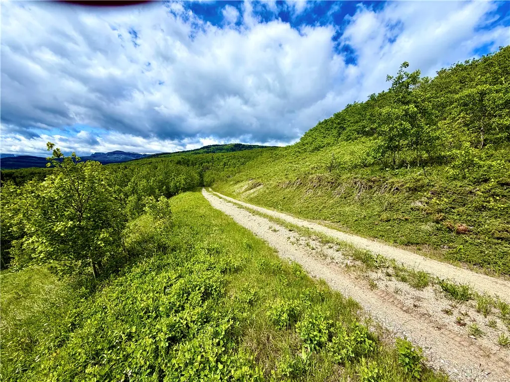 Lot 8 Arlie Tract, Babb, MT 59411 - #1