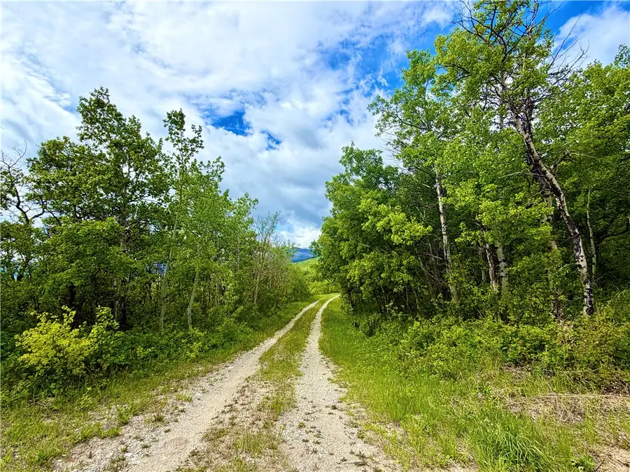 Lot 8 Arlie Tract, Babb, MT 59411 - #3