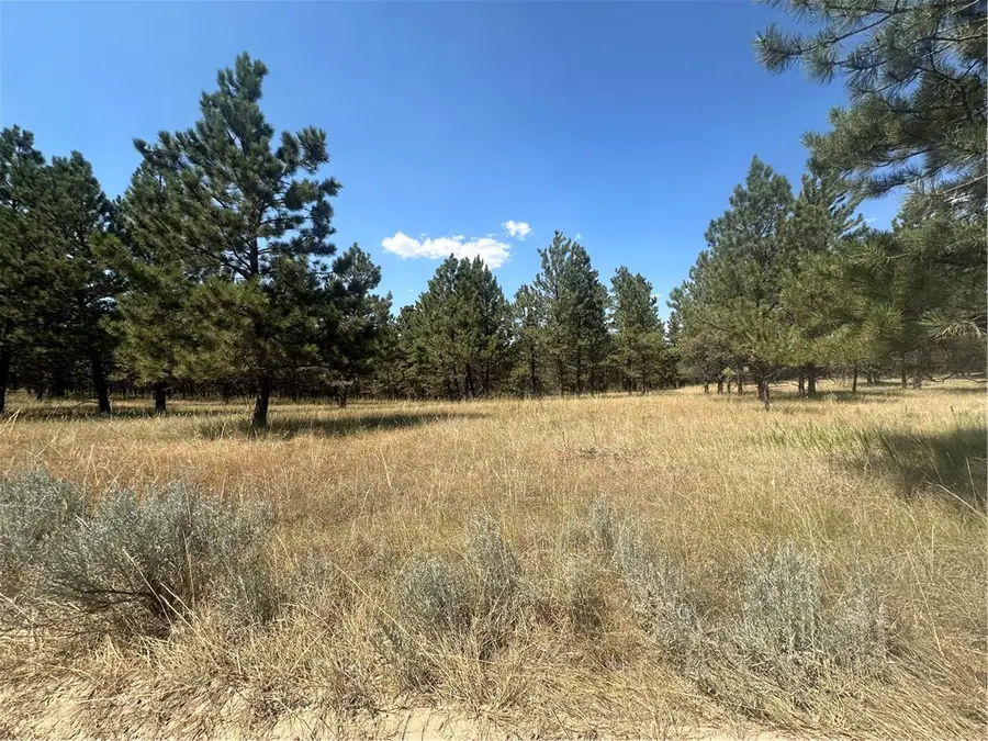 197 Roland Road, Roundup, MT 59072 - #2