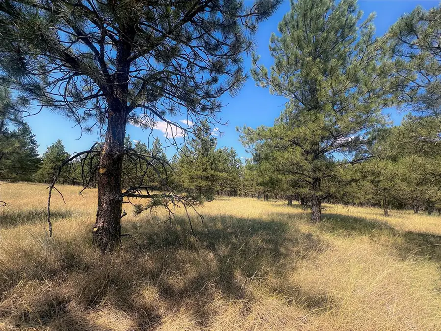 197 Roland Road, Roundup, MT 59072 - #3