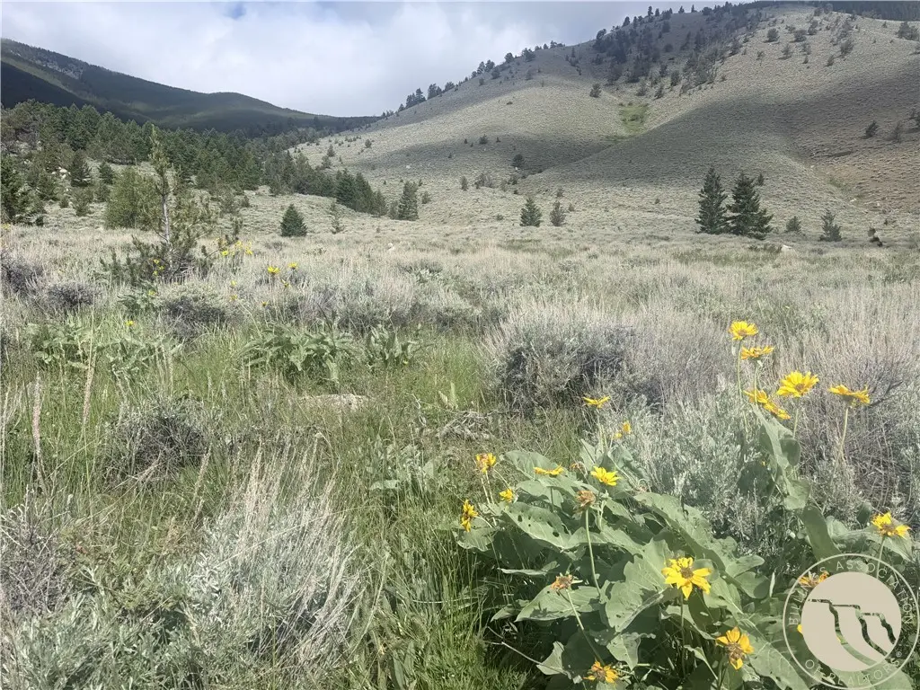 TR 3 S Us Highway 212, Red Lodge, MT 59068 - #1