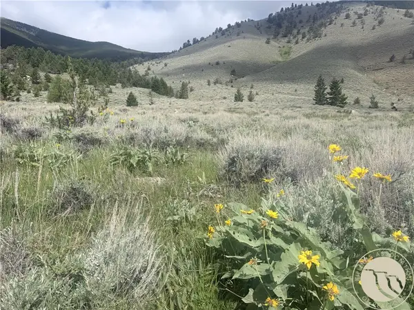 TR 3 S Us Highway 212, Red Lodge, MT 59068