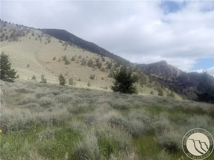 TR 5 S Us Highway 212, Red Lodge, MT 59068 - #3