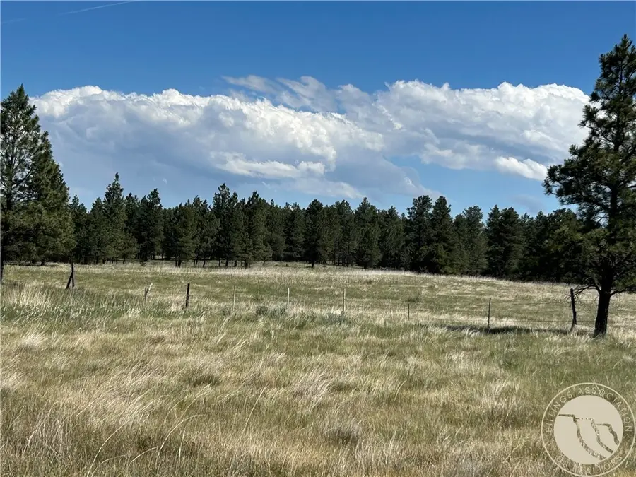 77 Treetop Road, Roundup, MT 59072 - #3
