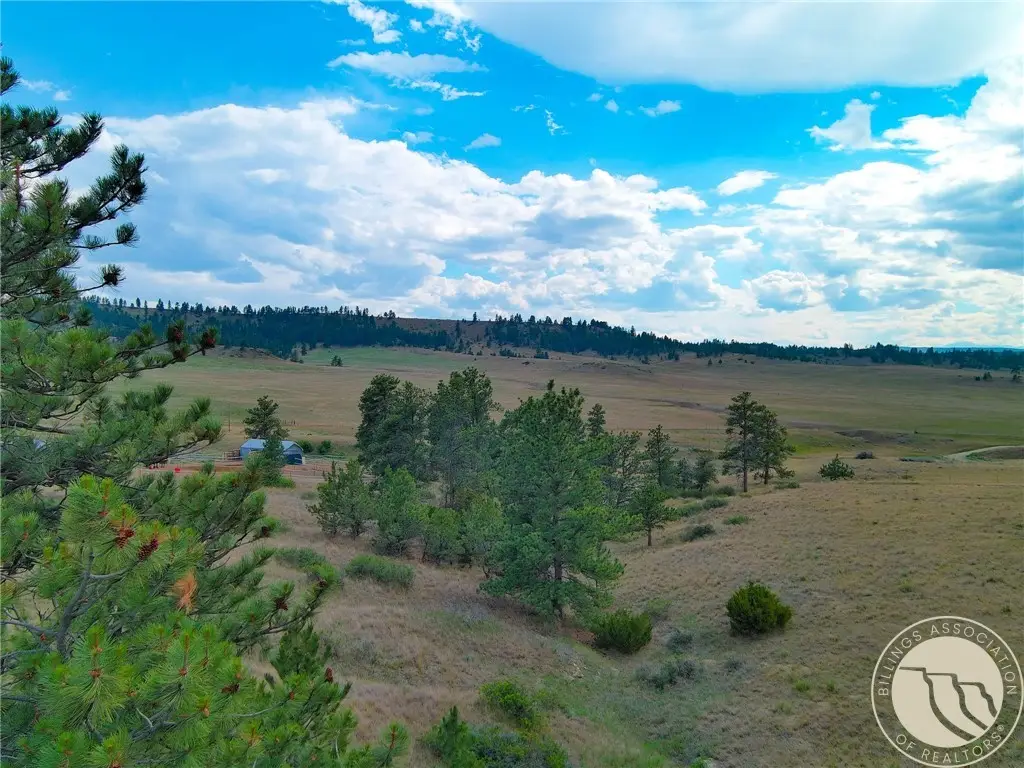 NON Bellion Creek Rd, Joliet, MT 59041 - #1
