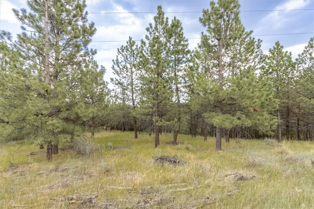 00 Indian Ridge Road, Billings, MT 59101 - #1