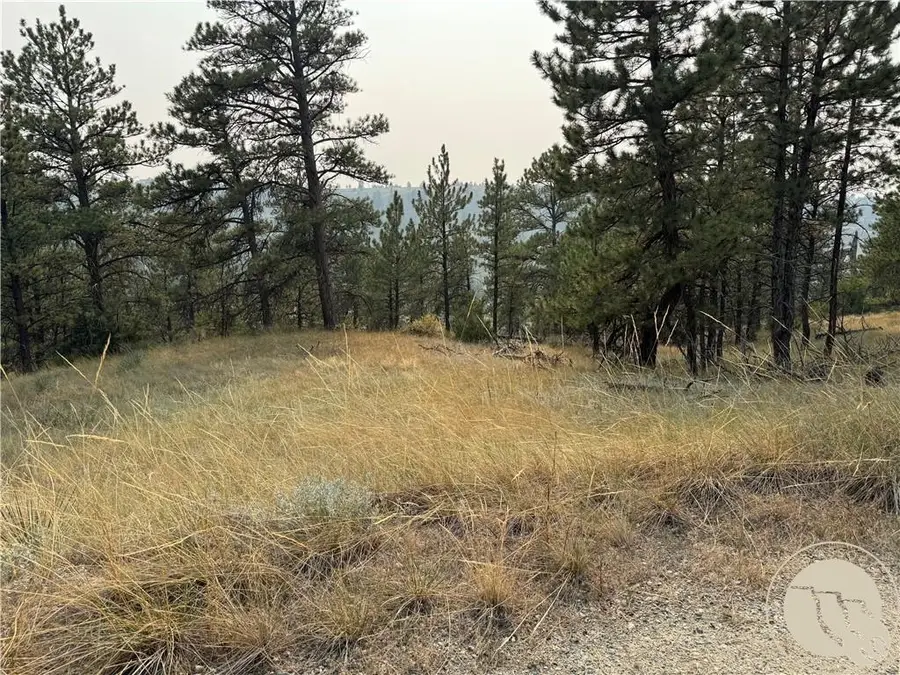 TBD Tbd Antelope Drive, Columbus, MT 59019 - #3