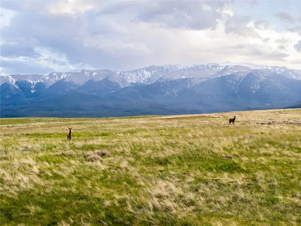 TBD Nye Road, Nye, MT 59061 - #1