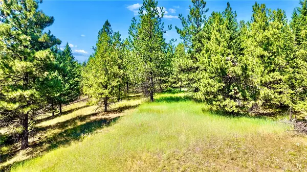 NHN N Rolling Hills Road, Other, MT 59917