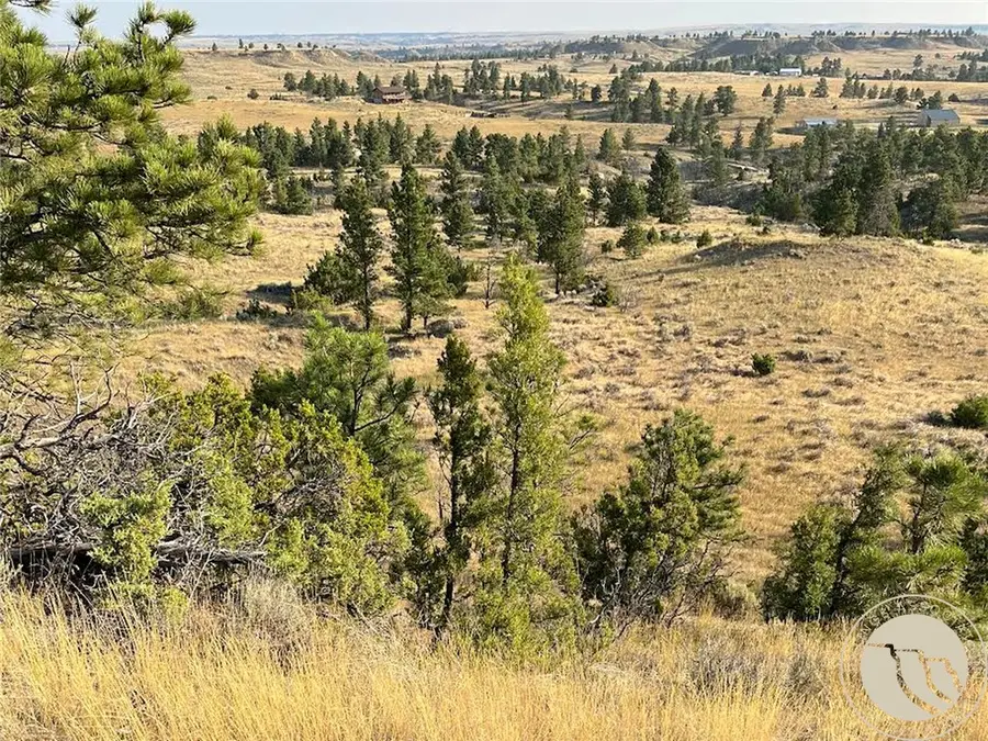 110 Snowflake Road, Roundup, MT 59072 - #2