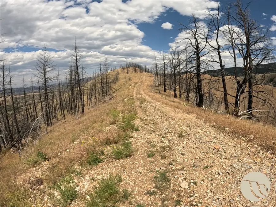 NSN Lightning Ridge Trail, Ponderosa Pines, MT 59752 - #2