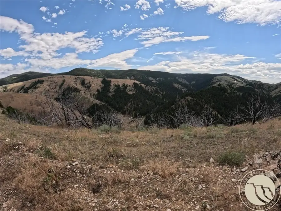 NSN Lightning Ridge Trail, Ponderosa Pines, MT 59752 - #3