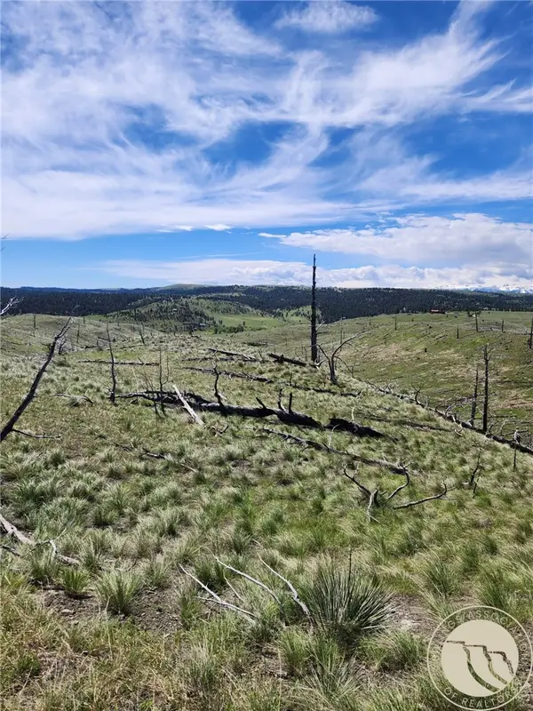 Lot 201 Haystack Coulee Road, Columbus, MT 59019