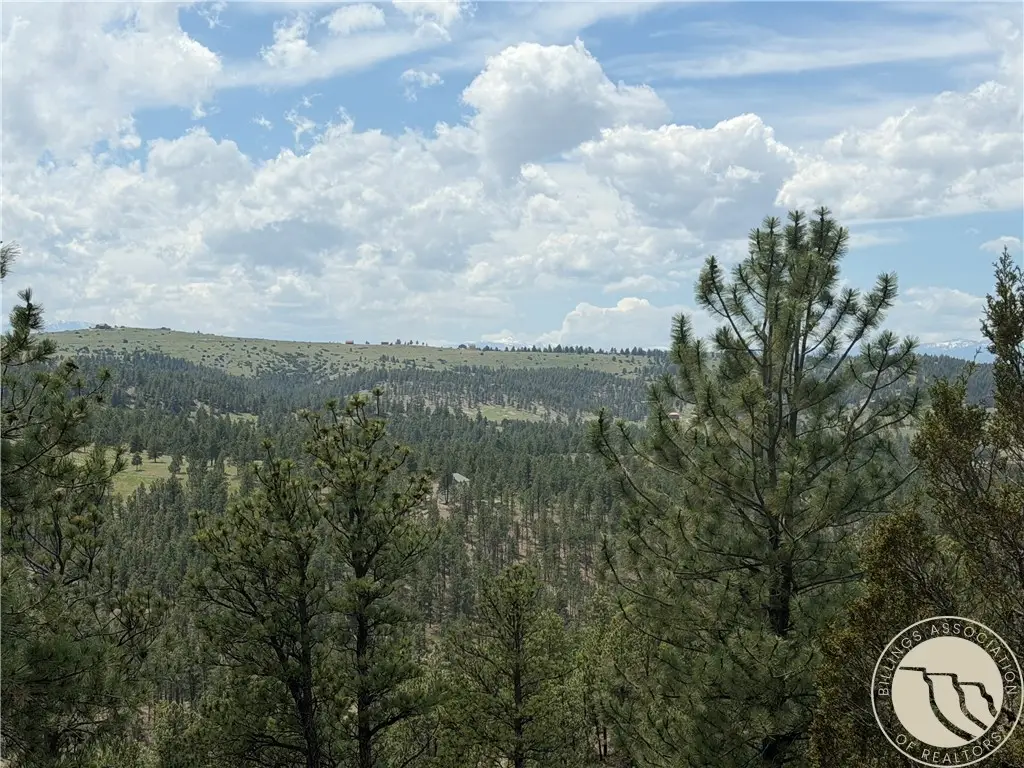 40 Granite Peak Road, Reed Point, MT 59069 - #1