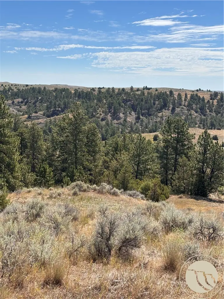 0 Coulee View 4, Billings, MT 59101 - #2