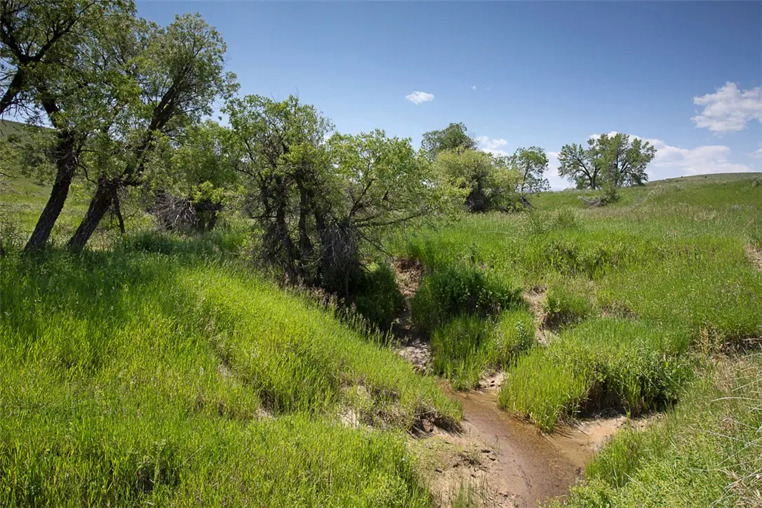155 acre Elbow Creek Rd, Roberts, MT 59070 - #1