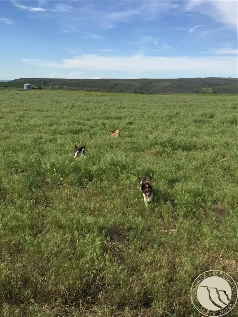 170 E Pryor Road, Edgar, MT 59026 - #3