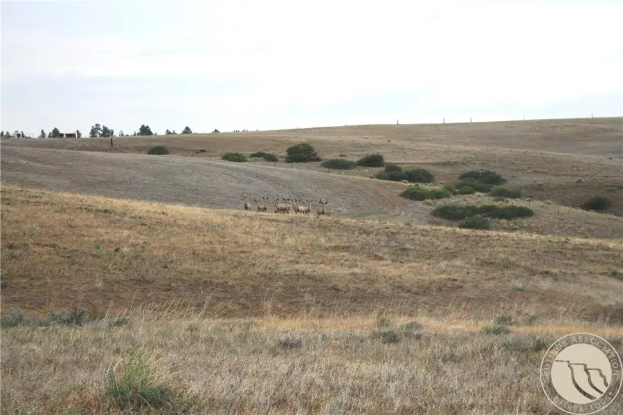 Lot 4 Joliet Rd., Columbus, MT 59019 - #3