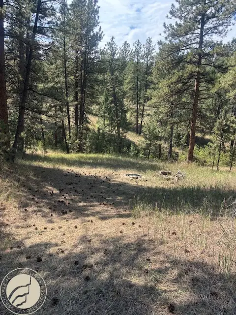 Lot 17 Skibstad Road, Columbus, MT 59019 - #2