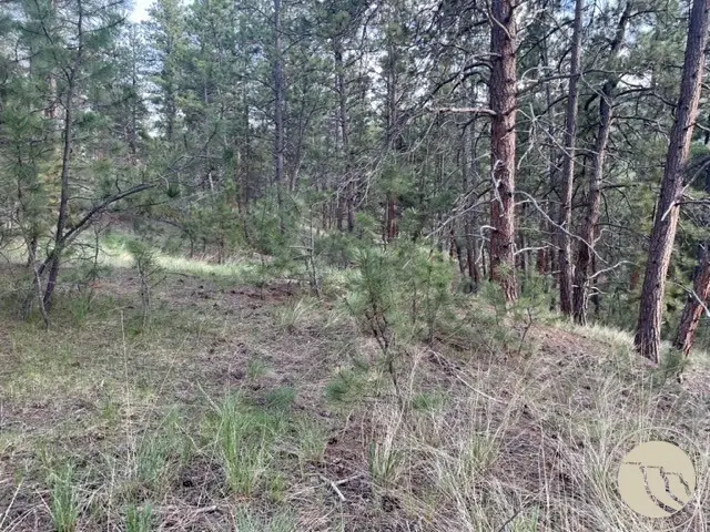 Lot 17 Skibstad Road, Columbus, MT 59019 - #3
