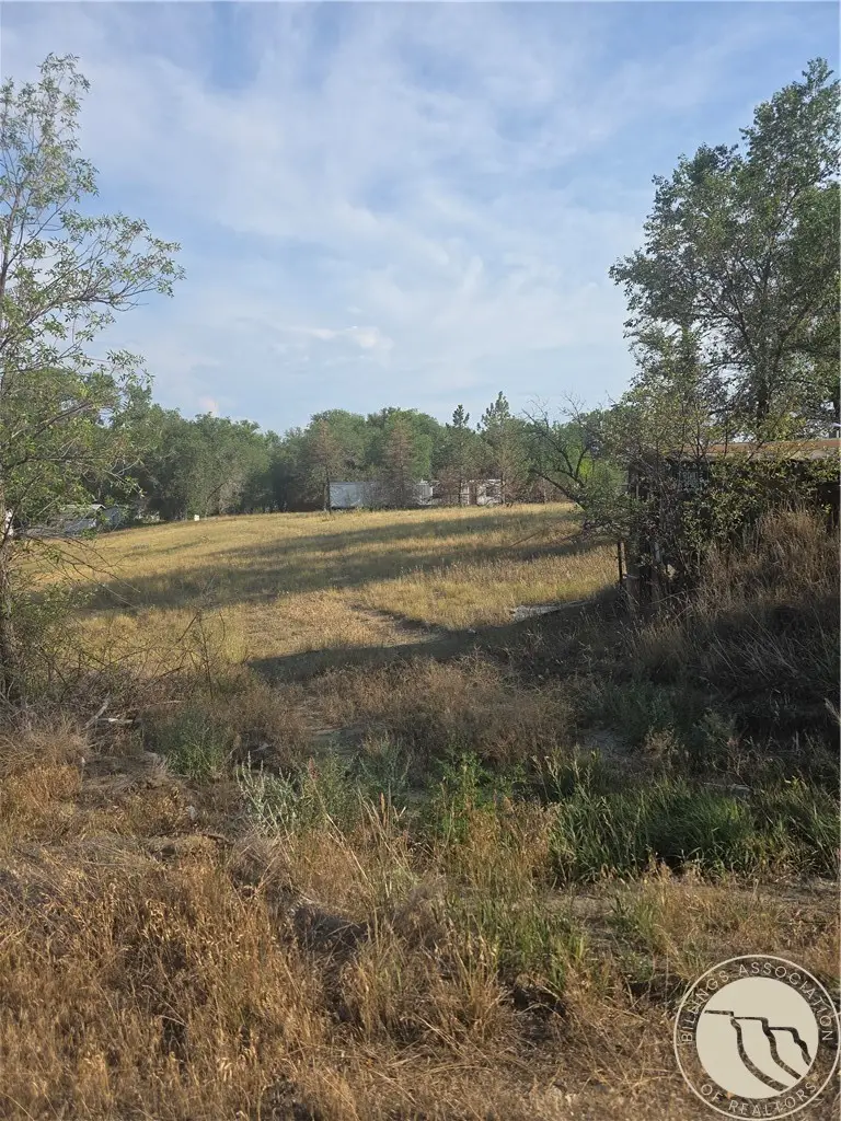 113 Bartlett Avenue, Fromberg, MT 59029 - #1