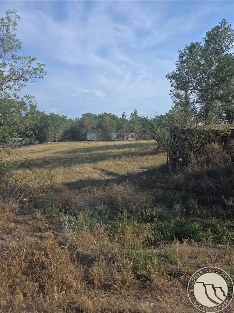 113 Bartlett Avenue, Fromberg, MT 59029 - #3