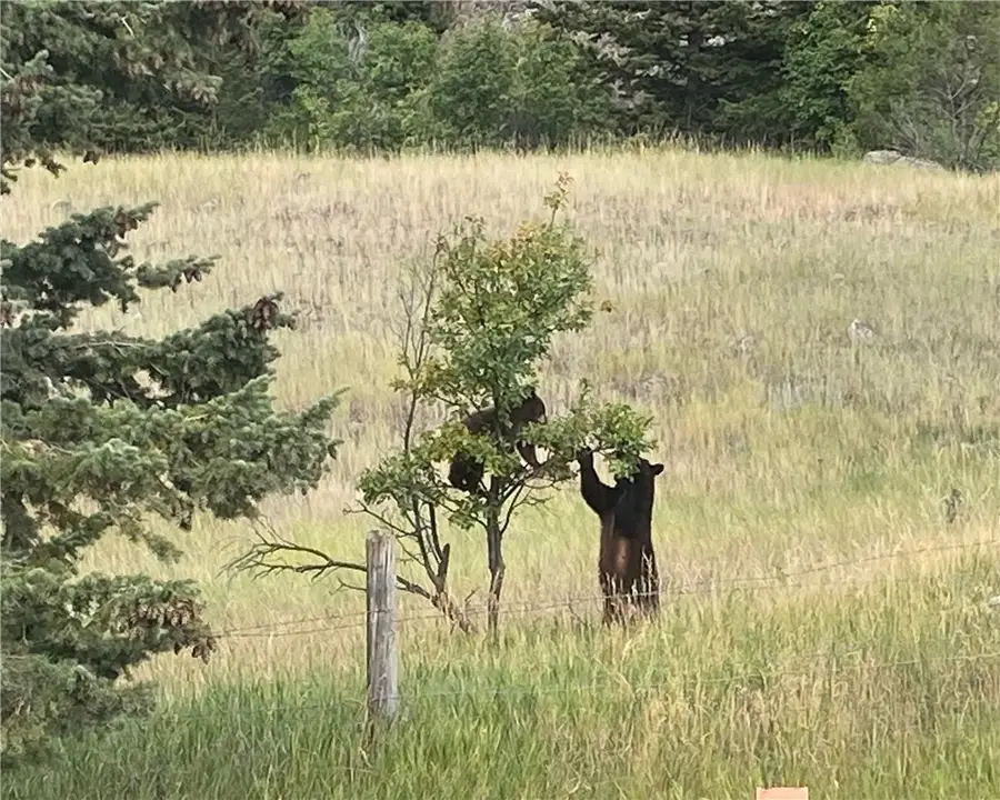 9 Moose Haven, McLeod, MT 59052 - #3