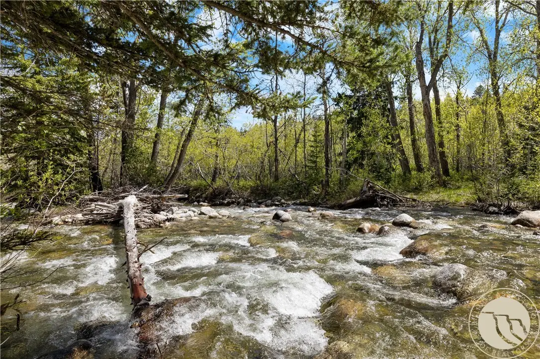 29 Waterworks Road, Red Lodge, MT 59068 - #1