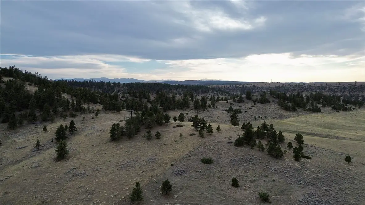 80 Acres Cole Creek Road, Joliet, MT 59041 - #1