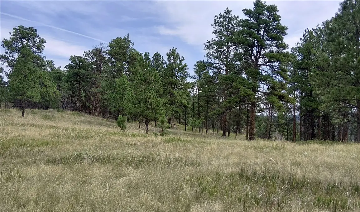 33 Cobie Lane, Roundup, MT 59072 - #1