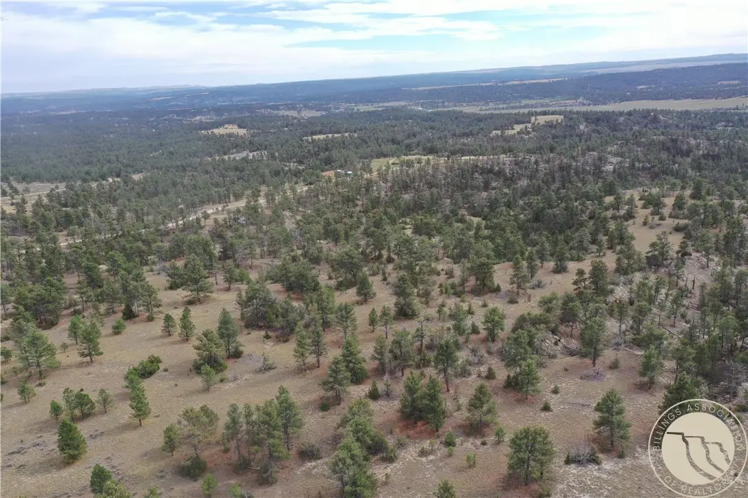 0 Echo Ave/fallow Ln, Roundup, MT 59072 - #1