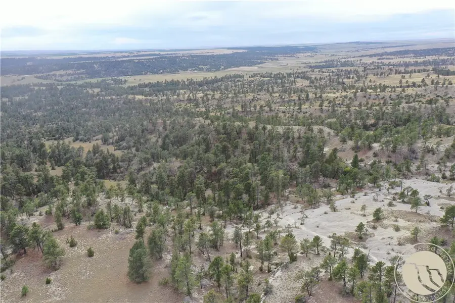 0 Echo Ave/fallow Ln, Roundup, MT 59072 - #2