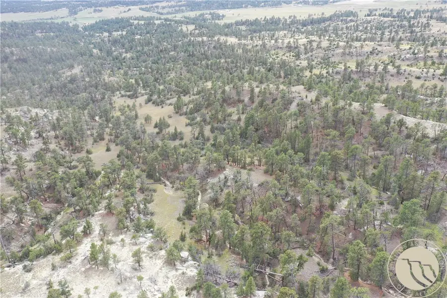 0 Echo Ave/fallow Ln, Roundup, MT 59072 - #3