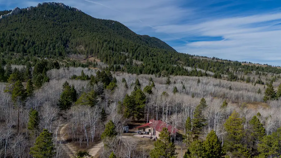 16 Kinikinic Trail, Red Lodge, MT 59068 - #2