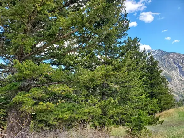 Lot 116 Forest Trail, Nye, MT 59061