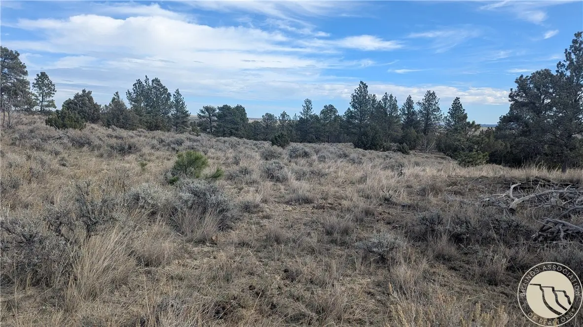 560 N Us Highway 87 N, Roundup, MT 59072 - #1