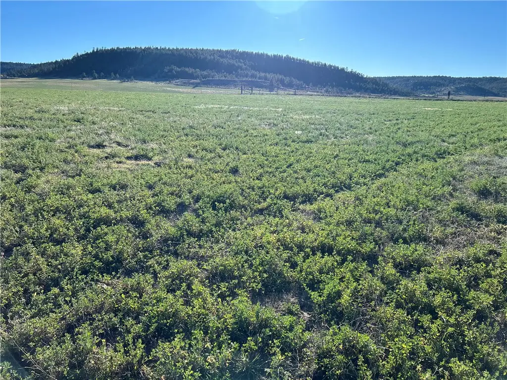 Tract 2 Highway 421, Columbus, MT 59019 - #1