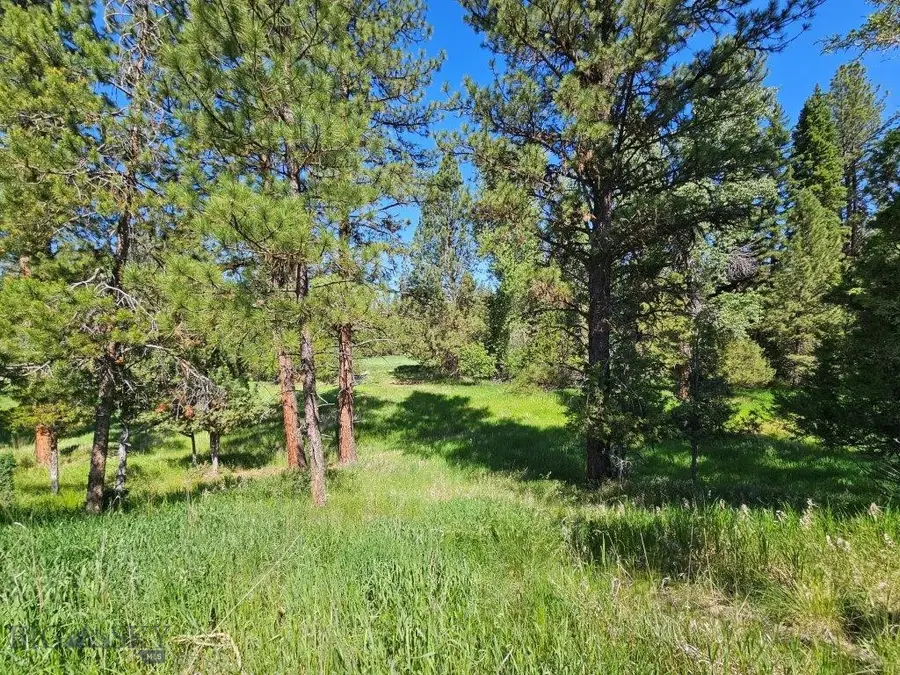 1087 Golf View Drive, Seeley Lake, MT 59868 - Image #3