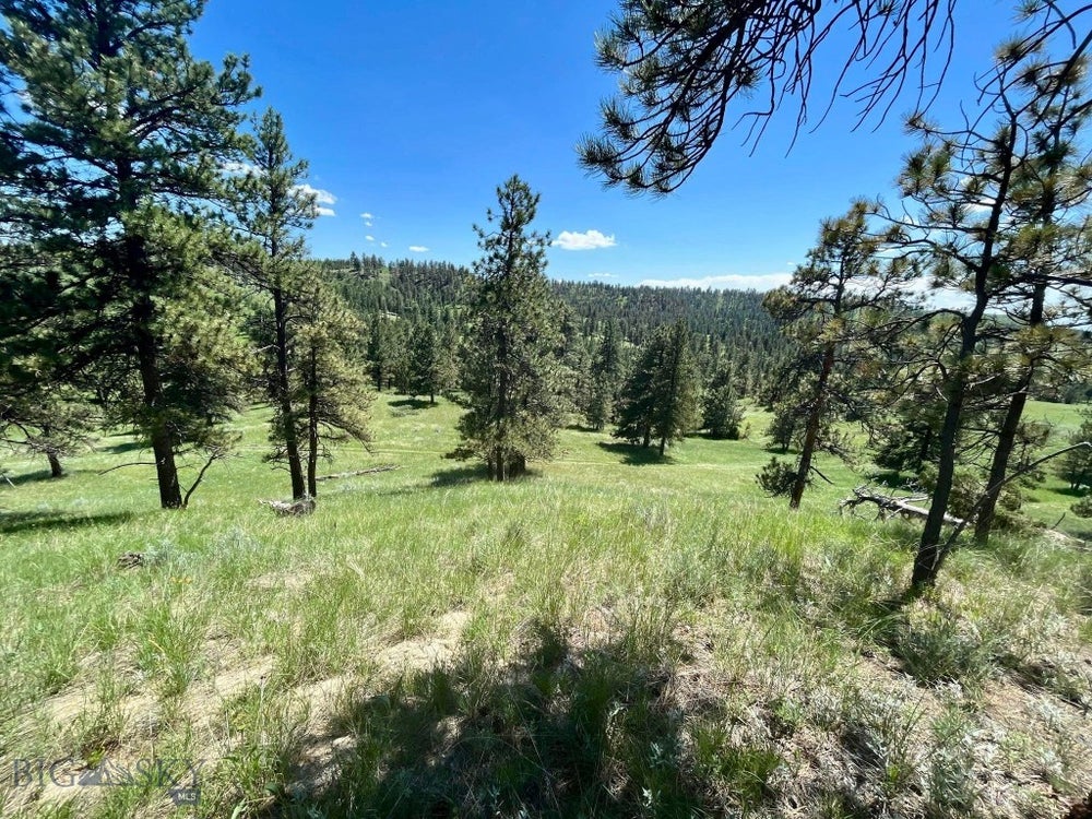 TBD Reservation Creek, Forsyth, MT 59327 - ERA