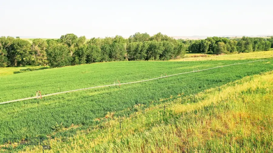 NHN Shields River Road, Wilsall, MT 59086 - Image #2