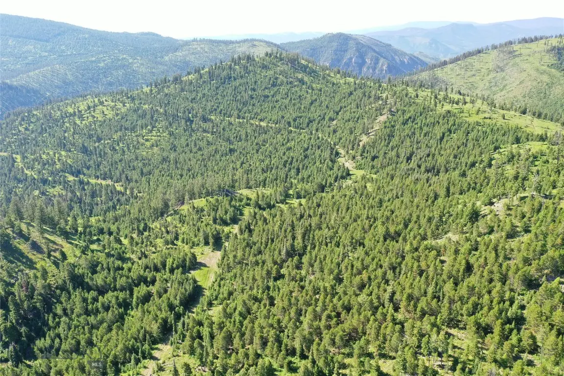 4 Tract Garnet Range, Drummond, MT 59832 - Image #1