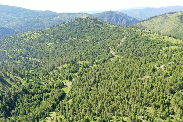 4 Tract Garnet Range, Drummond, MT 59832