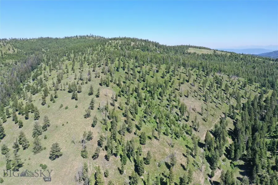 4 Tract Garnet Range, Drummond, MT 59832 - Image #3