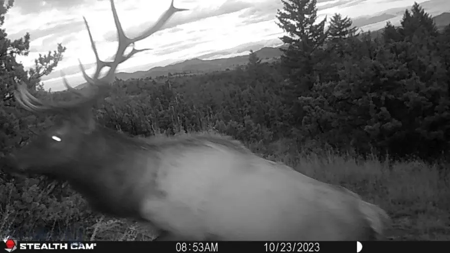 18 Keating Gulch Road, Radersburg, MT 59641 - Image #2