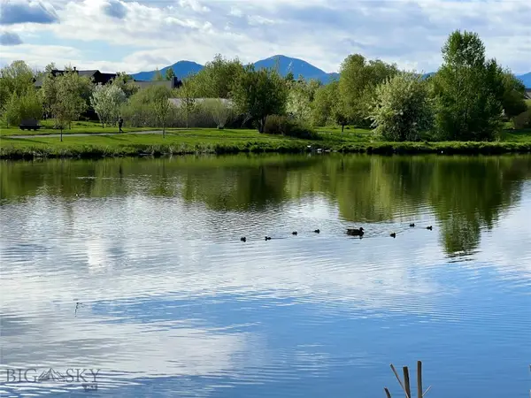 336 N Hanley Avenue, Bozeman, MT 59718