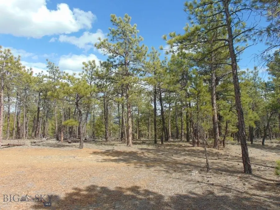 29 Sweetwater Rd, Helena, MT 59602 - Image #2