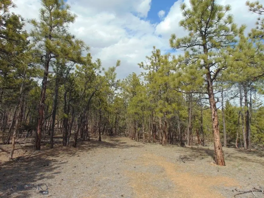 29 Sweetwater Rd, Helena, MT 59602 - Image #3